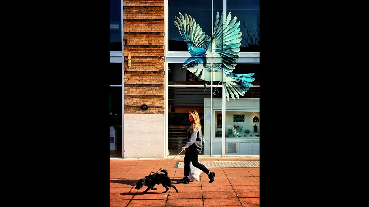 Street photograph by Marc Anthony