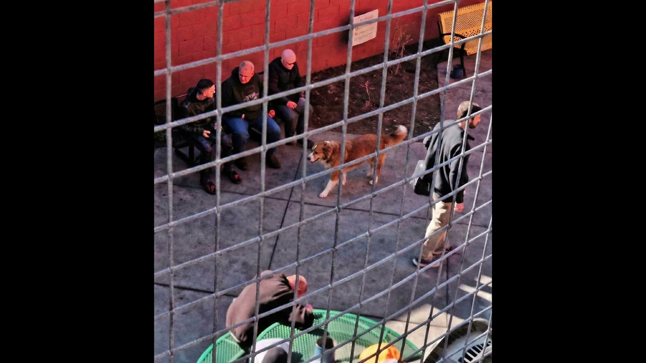 Street photograph by Marc Anthony